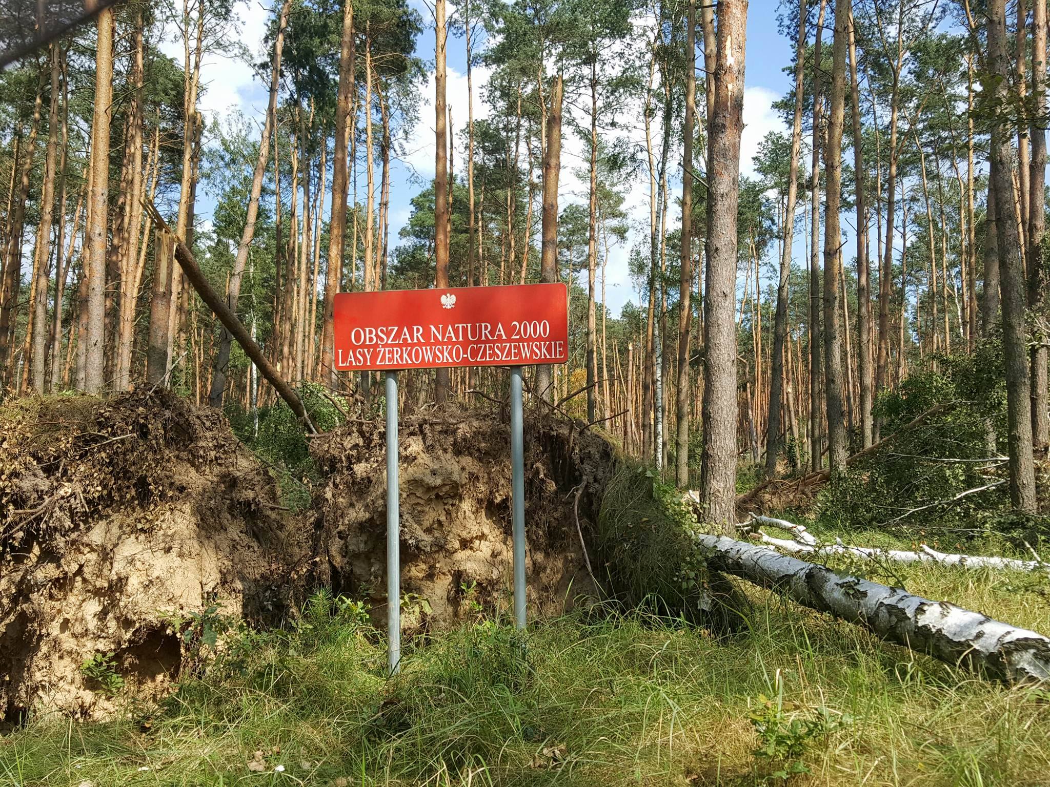 Międzynarodowe Formy Ochrony Przyrody W Polsce Formy ochrony przyrody - Regionalna Dyrekcja Lasów Państwowych w