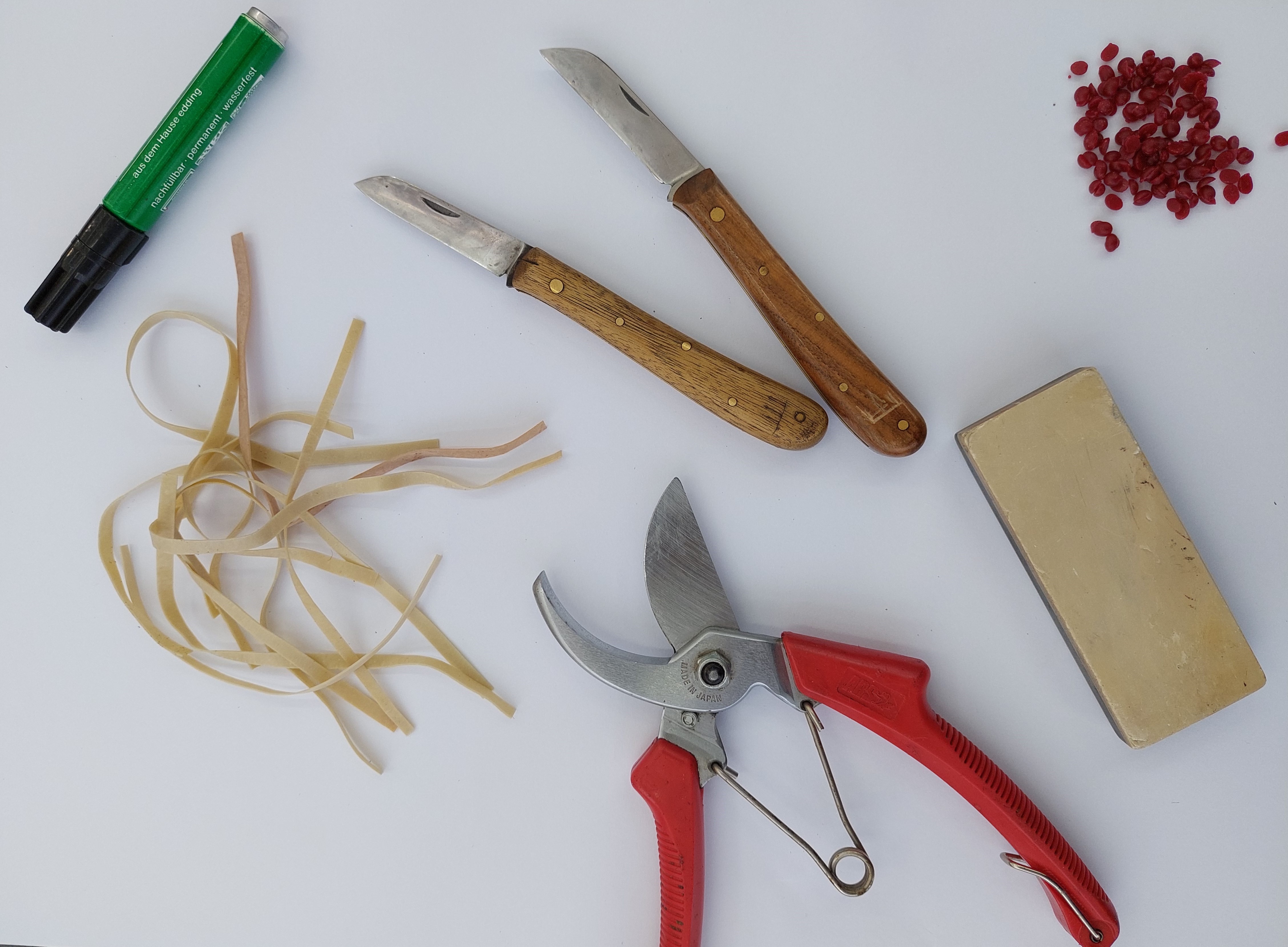 Zdjęcie przedstawia narzędzia użyte do szczepienia roślin: sekator, nóż, wosk, gumki, flamaster. Fot. Martyna Kuźniak (Nadleśnictwo Syców).