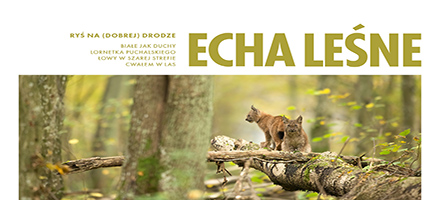 Front najnowszego wydania kwartalnika Echa Leśne