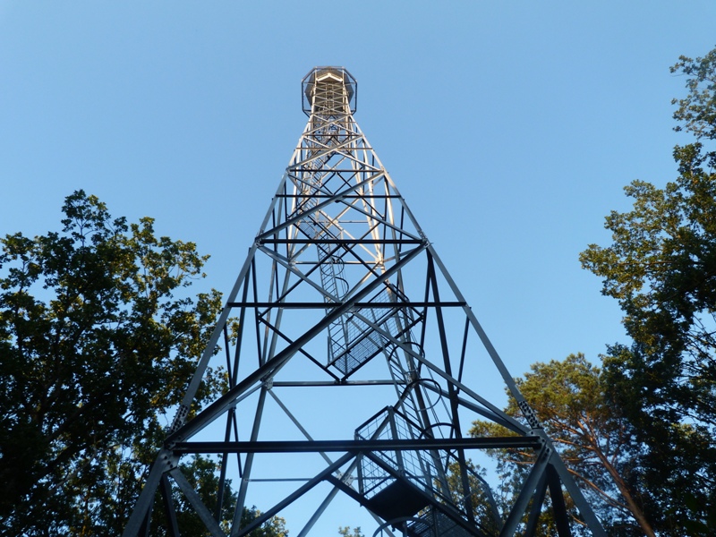 Zdjęcie przedstawia widok od dołu na metalową wieżę górującą nad drzewami. Fot. Archiwum Nadleśnictwa Włoszakowice