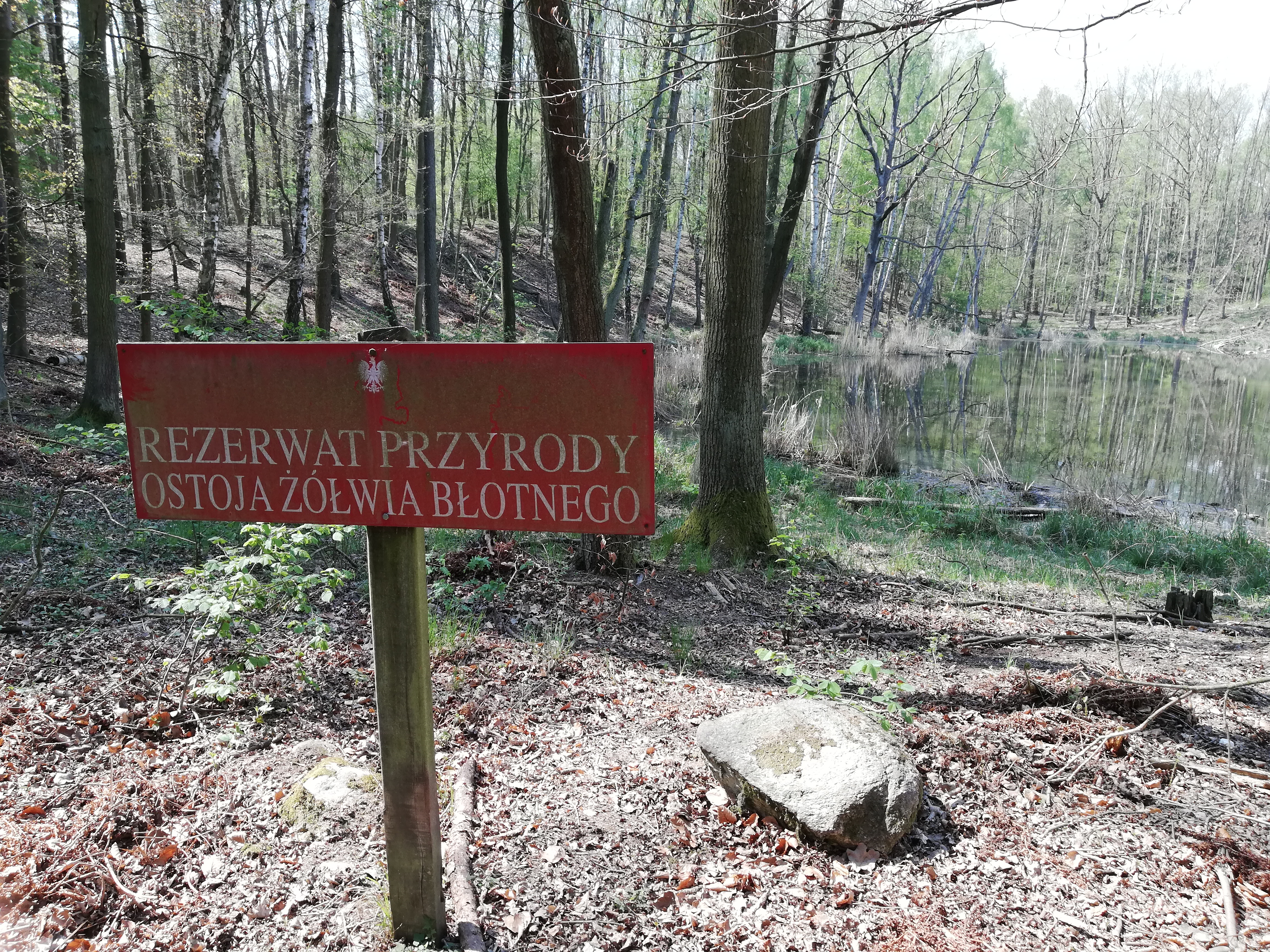 Zdjęcie przedstawia czerwoną tablicę informacyjną na granicy rezerwatu Ostoja Żółwia Błotnego. Fot. T. Maćkowiak (RDLP Poznań)