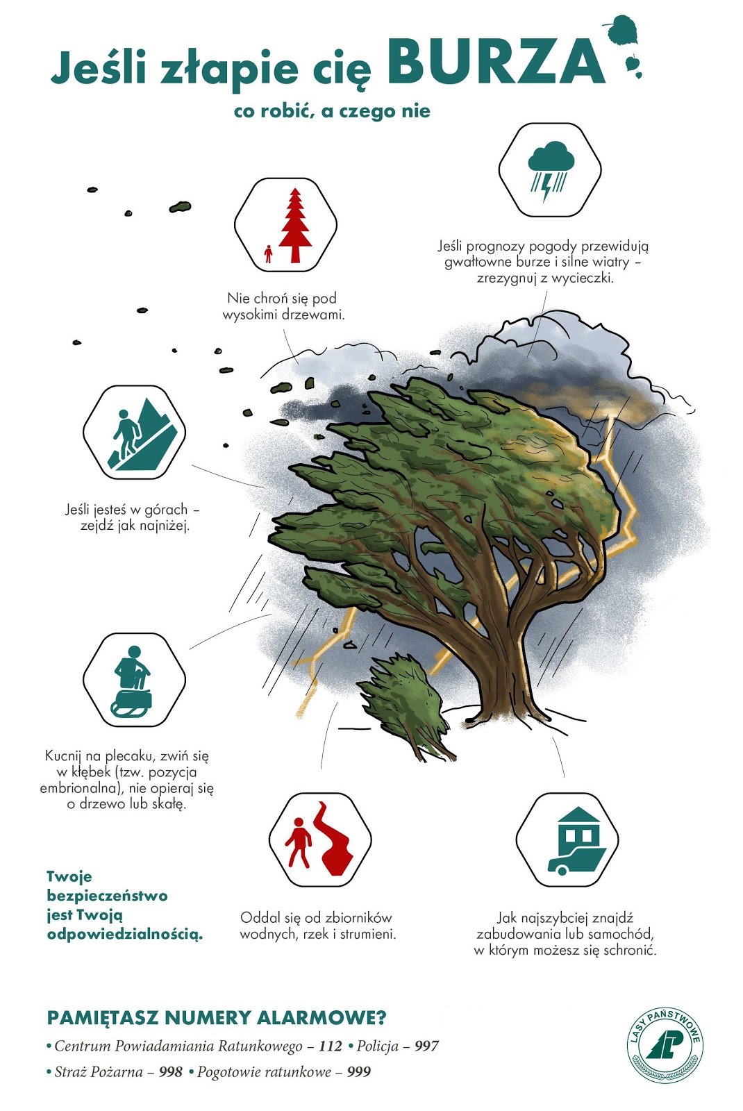 Infografika przedstawia porady dotyczące zachowania się w lesie podzcas burzy. Źródło: CILP.