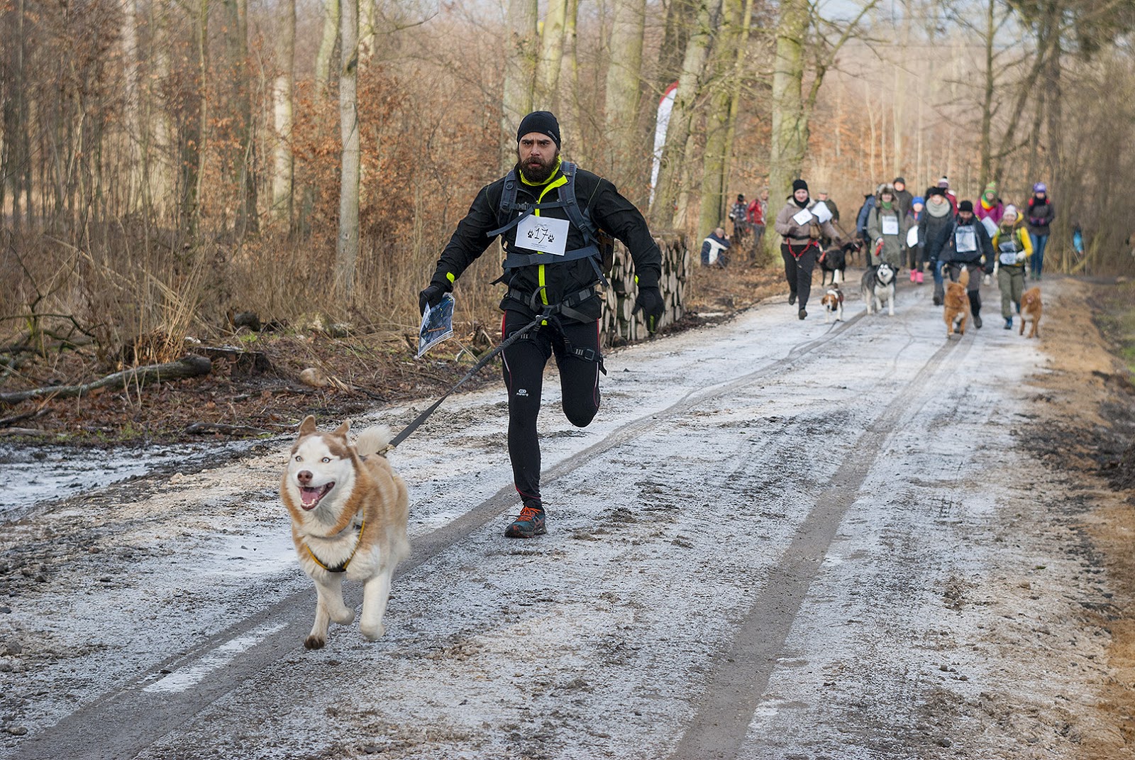 Zawody dogtrekking - Adam Moskal (Nadleśnictwo Pniewy)