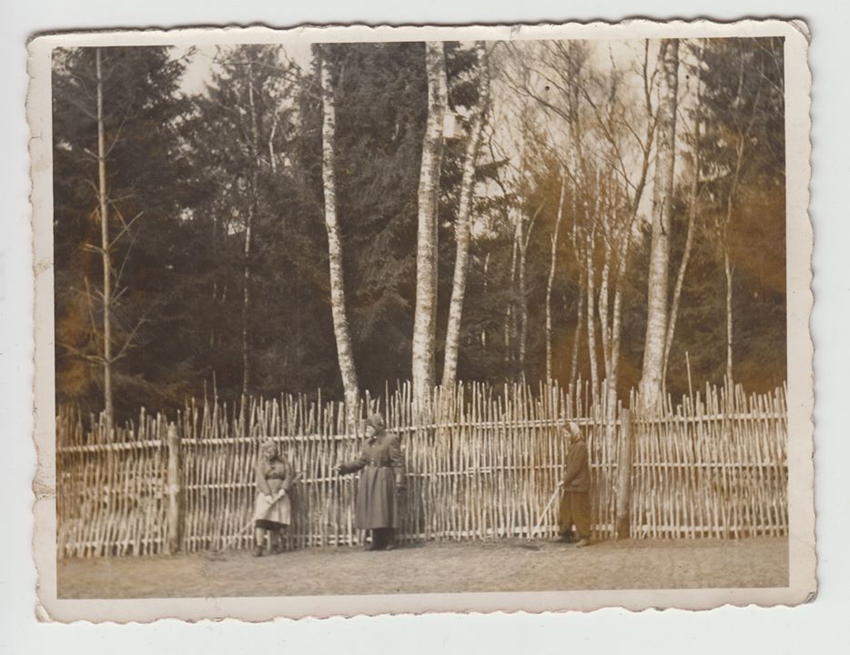 Prace w szkółce leśnej, Nadleśnictwo Bucharzewo. 1928 rok. (zdj. z archiwum p. Jarosława Mikołajczaka)