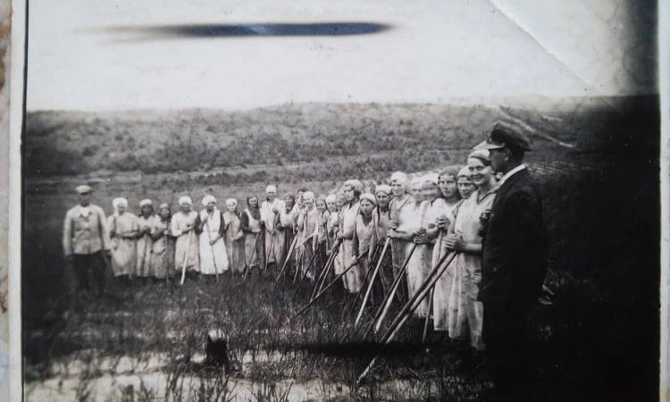 Pielęgnacja upraw, Leśnictwo Pławiska 1927 rok. (archiwum p. Tomasza Nowaka)