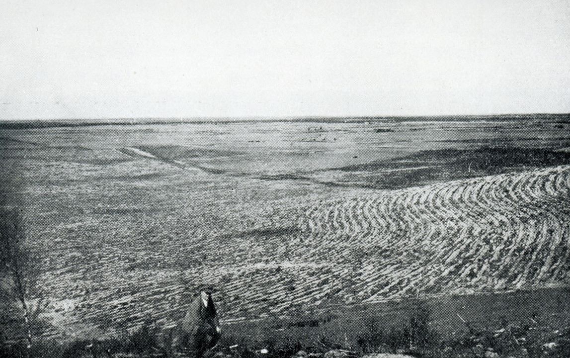 fot. L. Mroczkiewicz-  Widok na "puszczę" po jej wycięcu 1928 rok. 