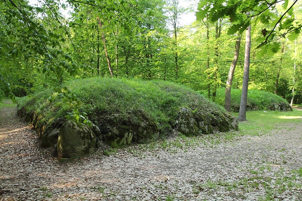 Fot. Ilona Żółtowska, Nadleśnictwo Koło