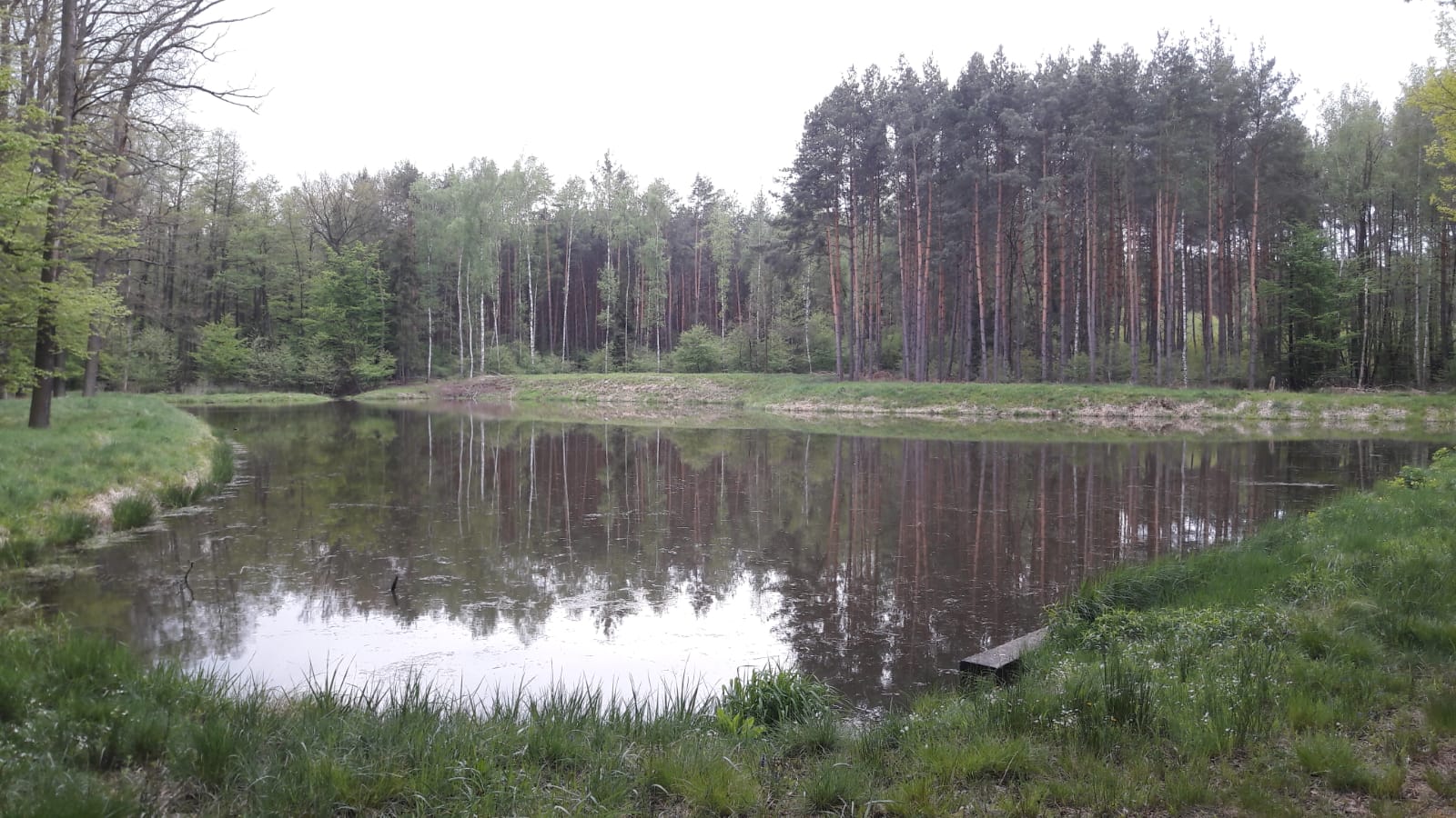 Fot. Archiwum Nadleśnictwa Syców