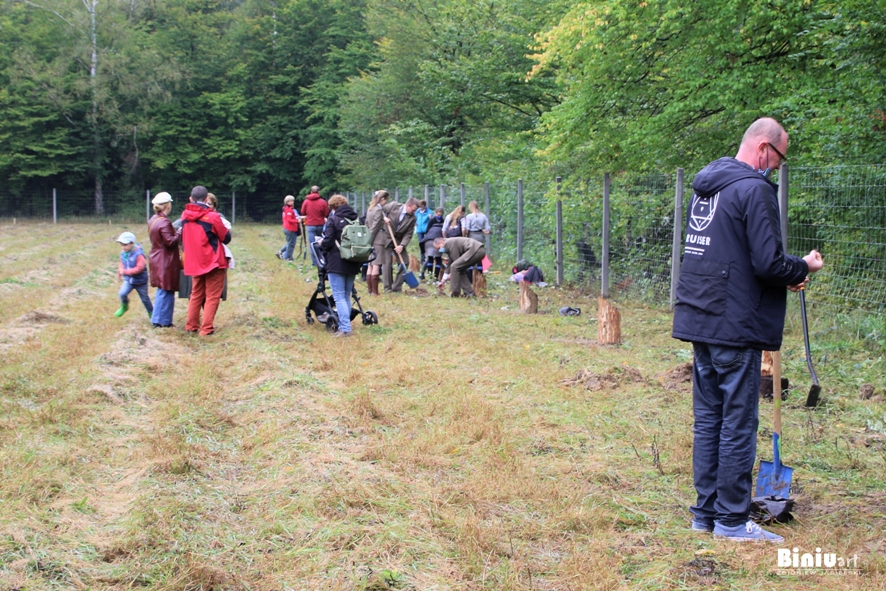 Fotografia przedstawia sadzenie 18 dębów, podczas otwarcia nowej powierzchni Lasu Nowożeńców i Drzew Okolicznościowych. Fot. (Archiwum Nadleśnictwa Babki).