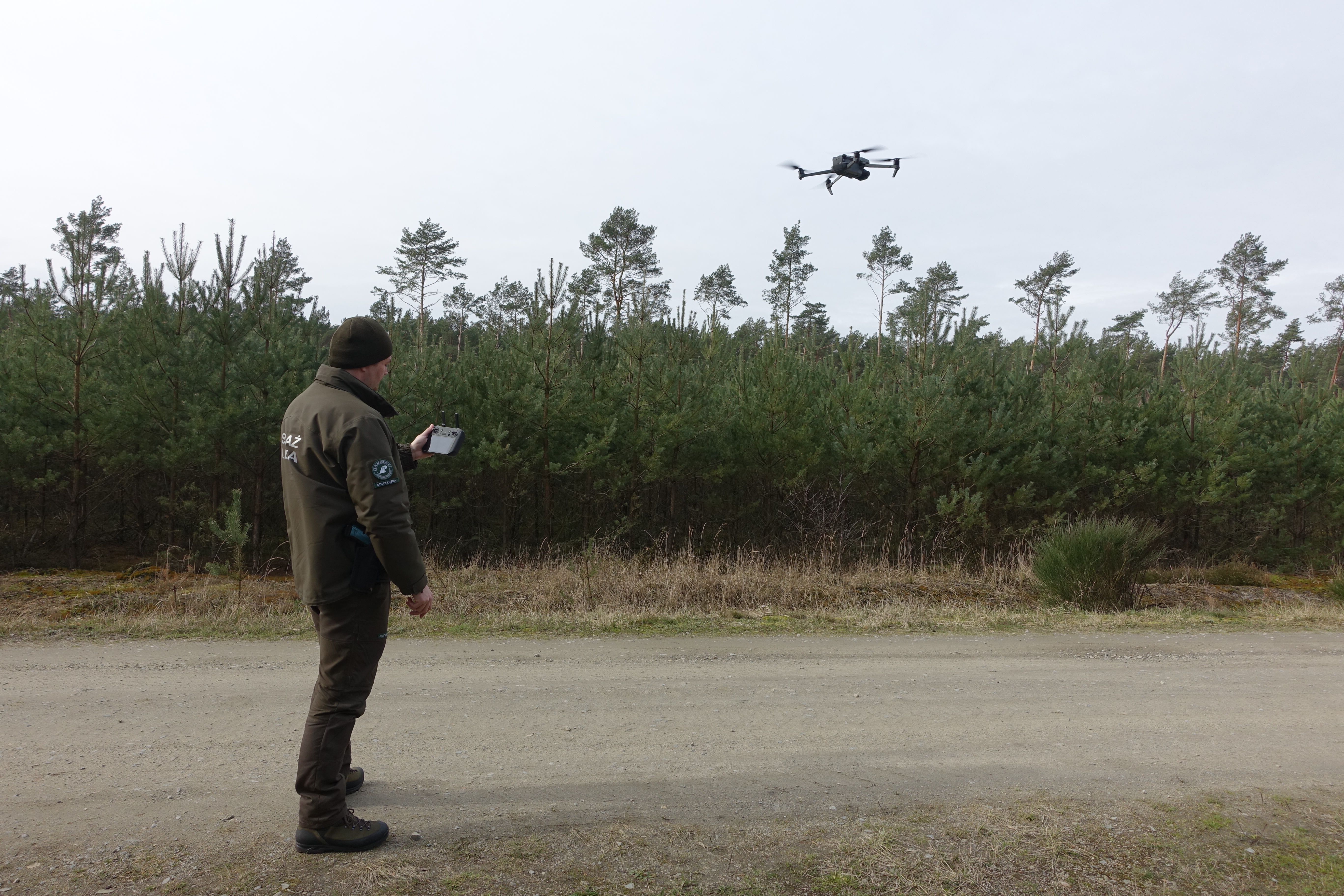 Zdjęcie przedstawia strażnika leśnego w mundurze sterującego dronem, który unosi się ponad lasem. Fot. Archiwum Nadleśnictwa Turek