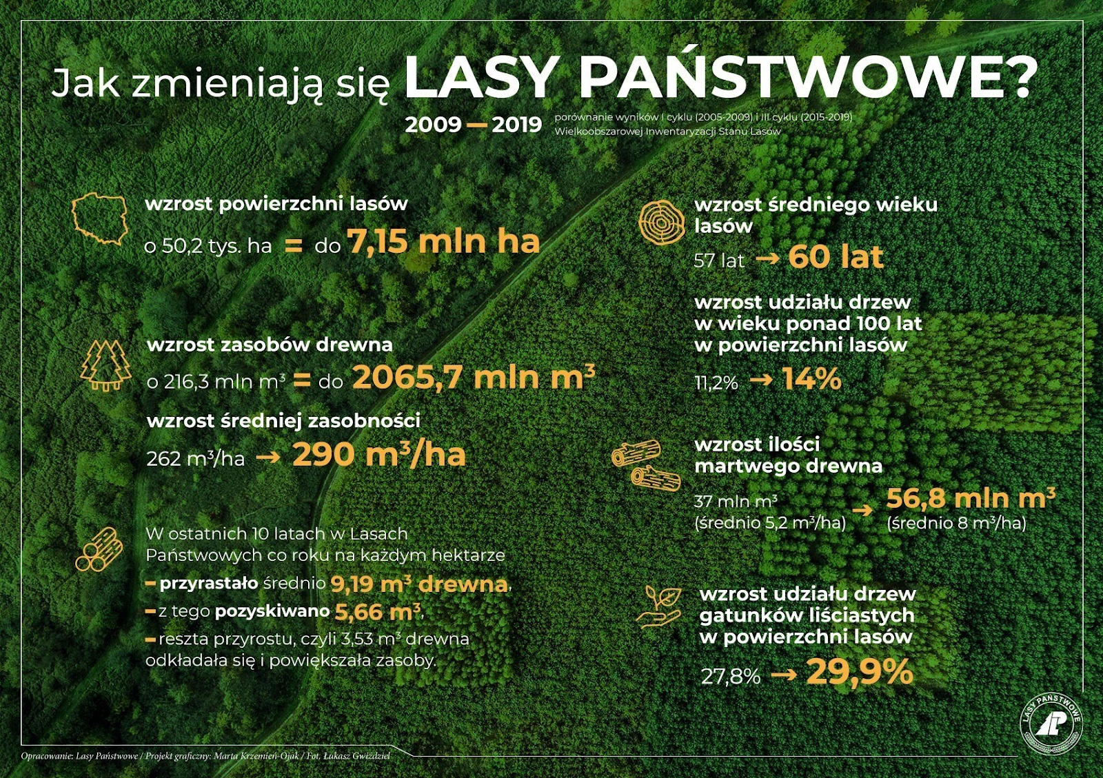 Grafika przedstawia zmiany w Lasach Państwowych w latach 2009-2019. Źródło CILP.