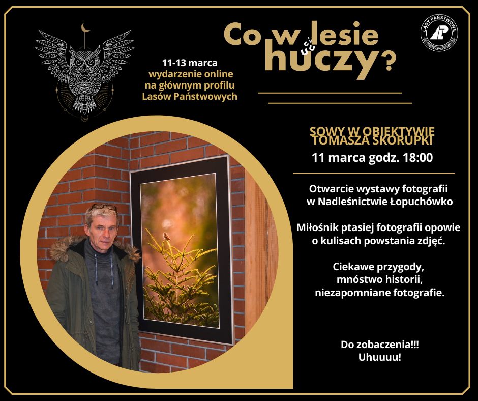 Infografika z zapowiedzią otwarcia wystawy on-line pt. "Sowy w obiektywie" w Nadleśnictwie Łopuchówko.  