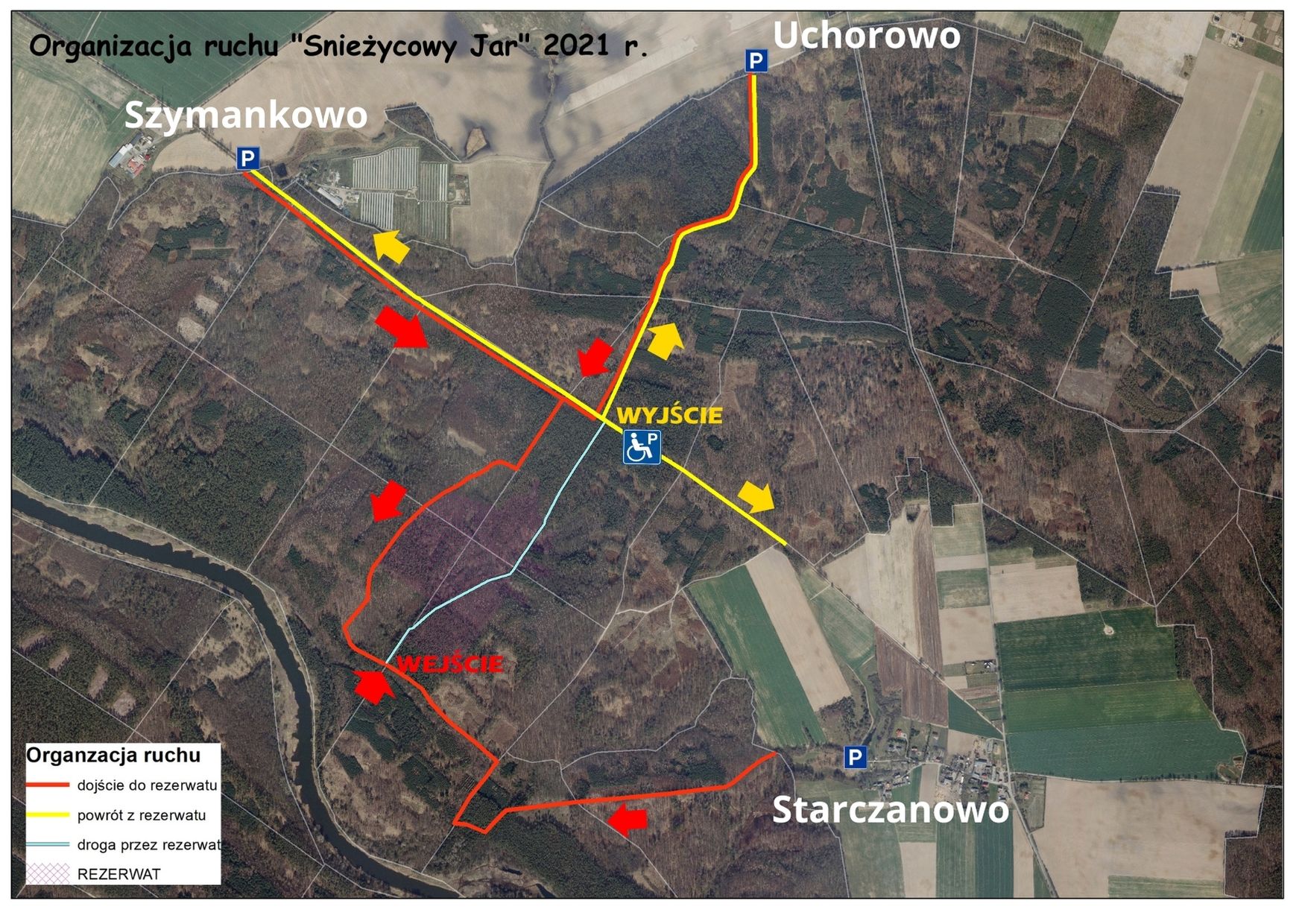 Mapa z zaznaczonymi kierunkami poruszania się po rezerwacie. Archiwum Nadleśnictwa Łopuchówko.