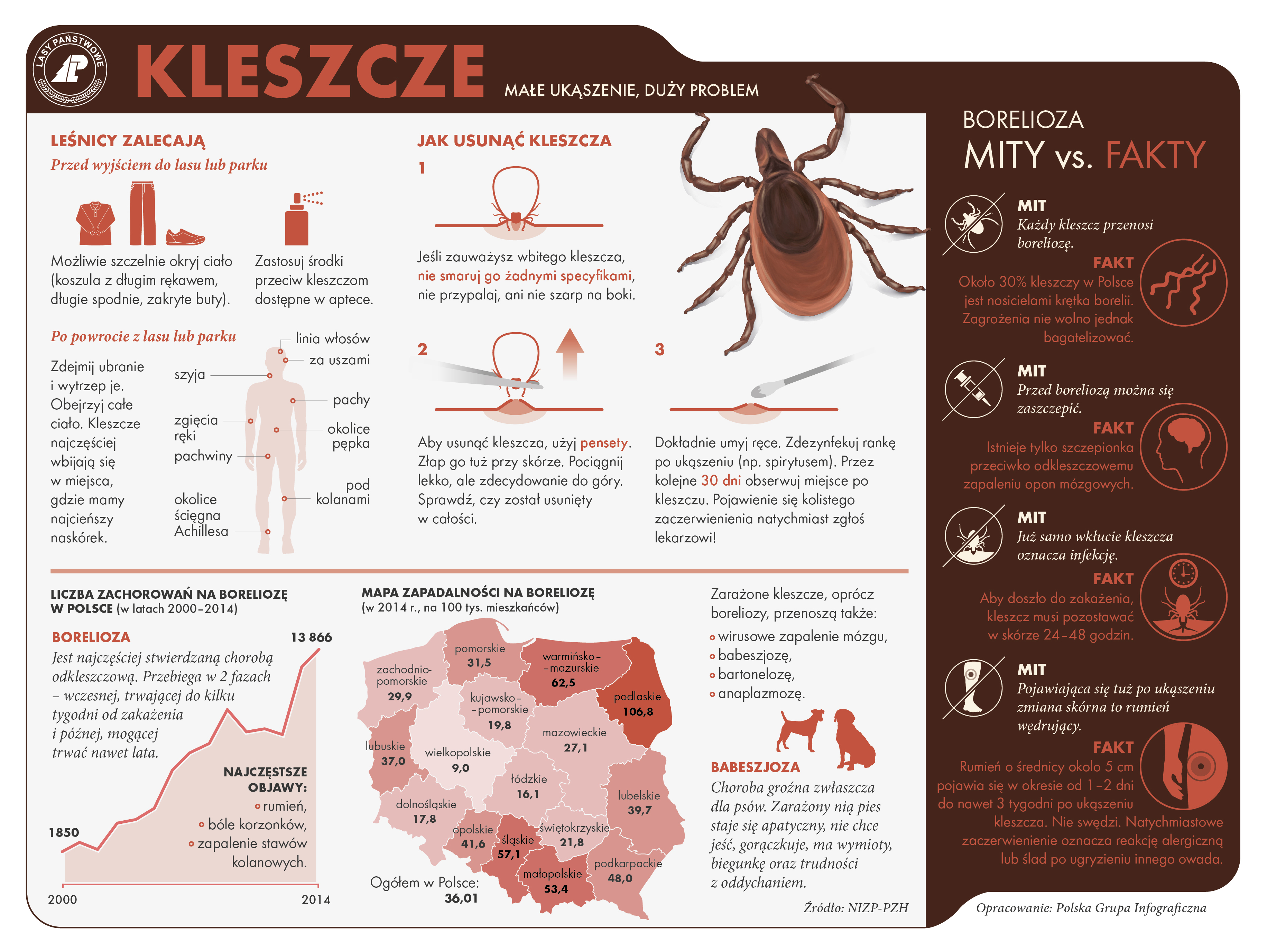 Infografika dotycząca kleszczy przygotowana przez CILP - opracowanie Polska Grupa Graficzna. 