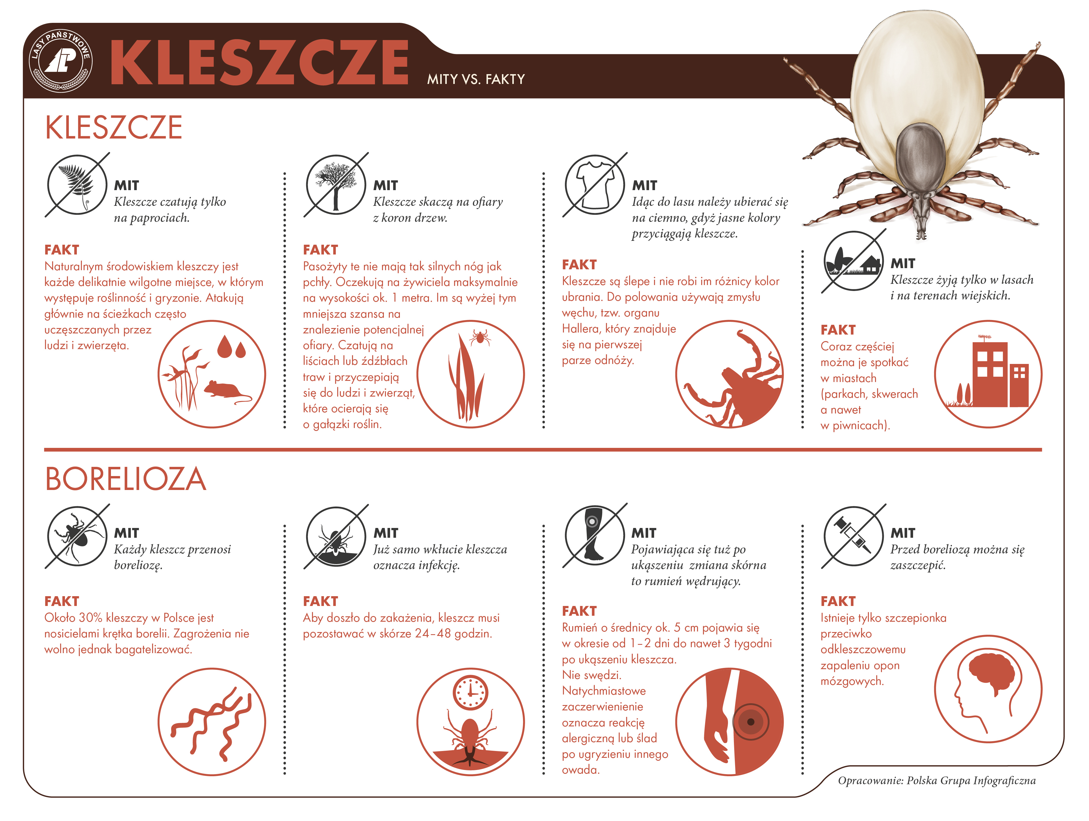 Infografika dotycząca kleszczy przygotowana przez CILP - opracowanie Polska Grupa Graficzna. 