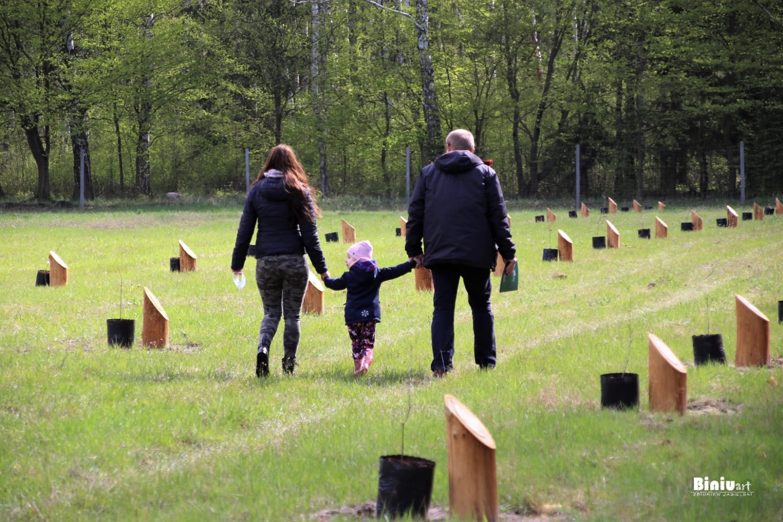 Fot. Zbigniew Jasielski. Fotografia przedstawia rodzinę na powierzchni lasu Nowożeńców i Drzew Okolicznościowych.