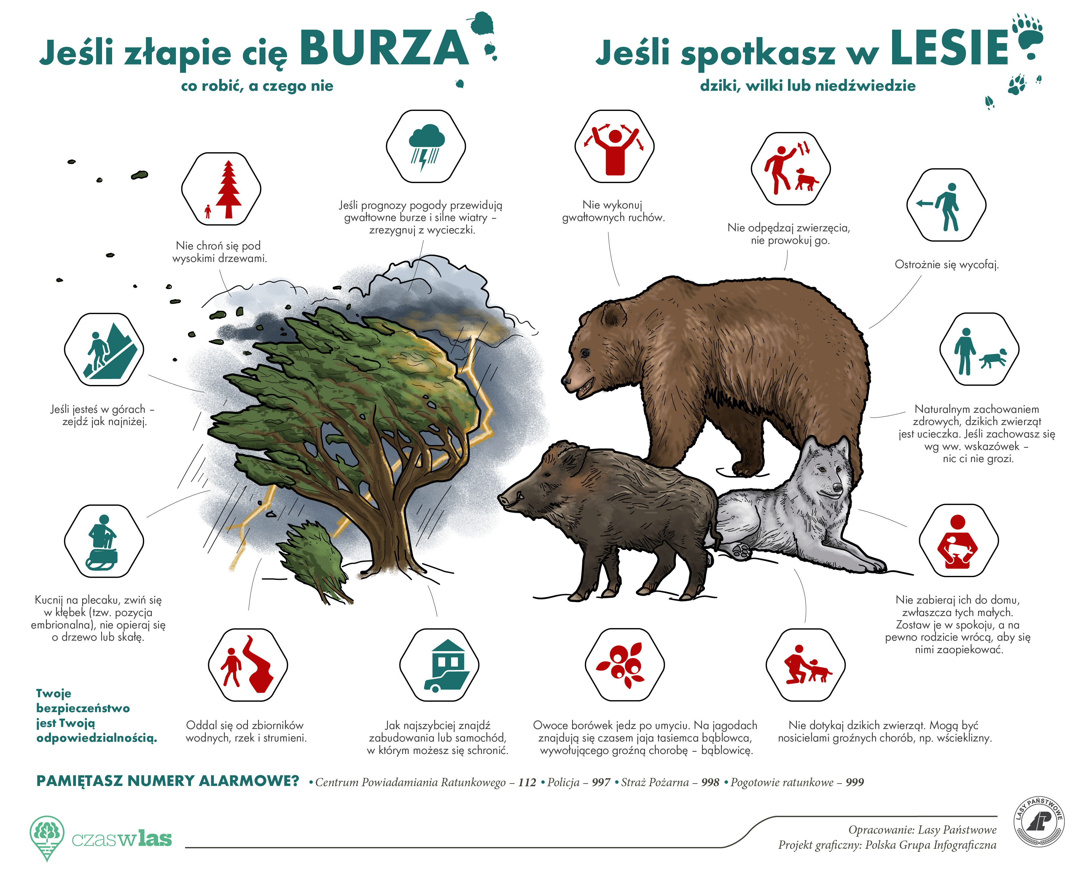 Infografika przedstawia zasady bezpiecznego zachowania się w lesie. Źródło: CILP