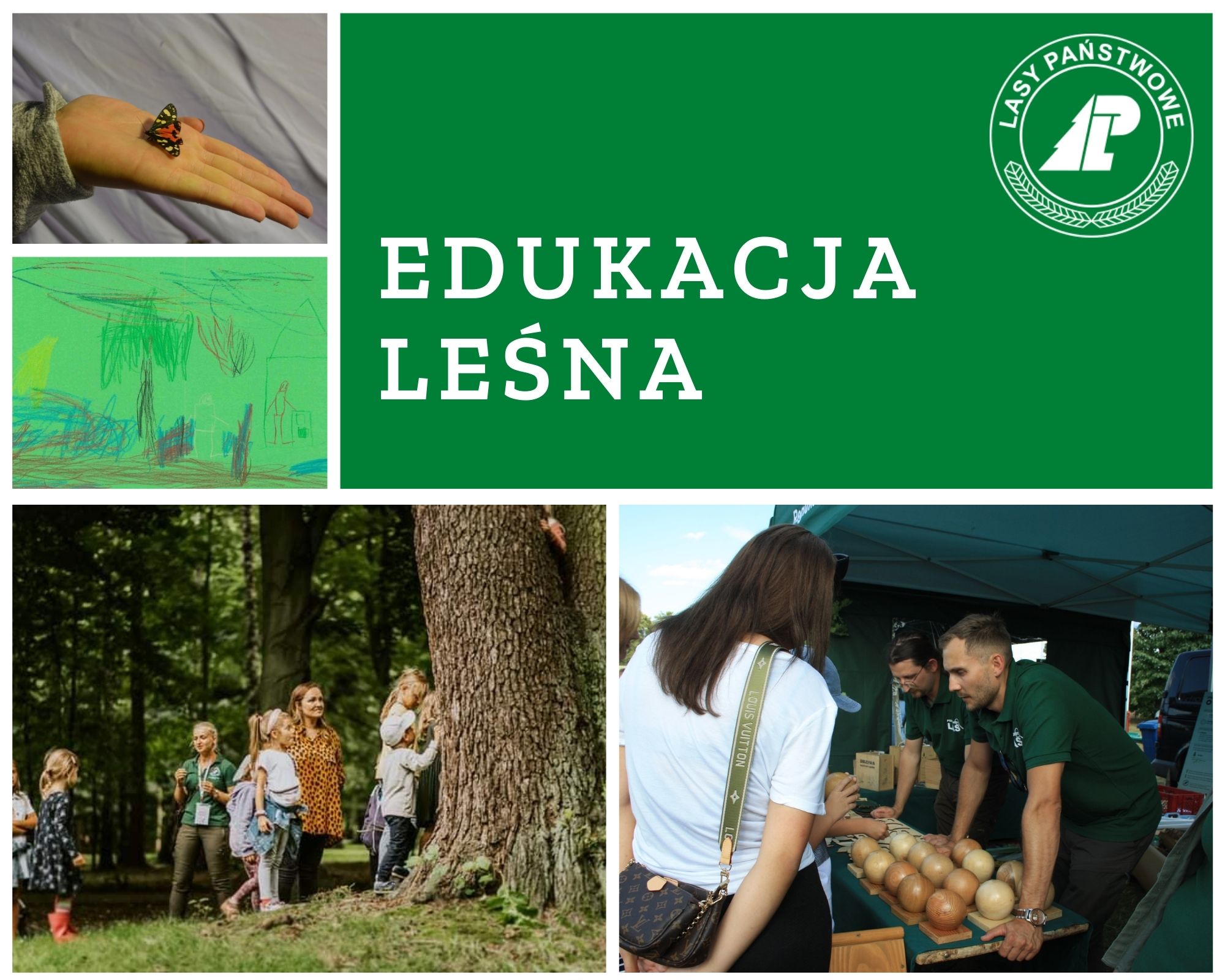 Kolaż zdjęć pokazujący różne formy edukacji leśnej. Fot. Archiwum RDLP w Poznaniu.