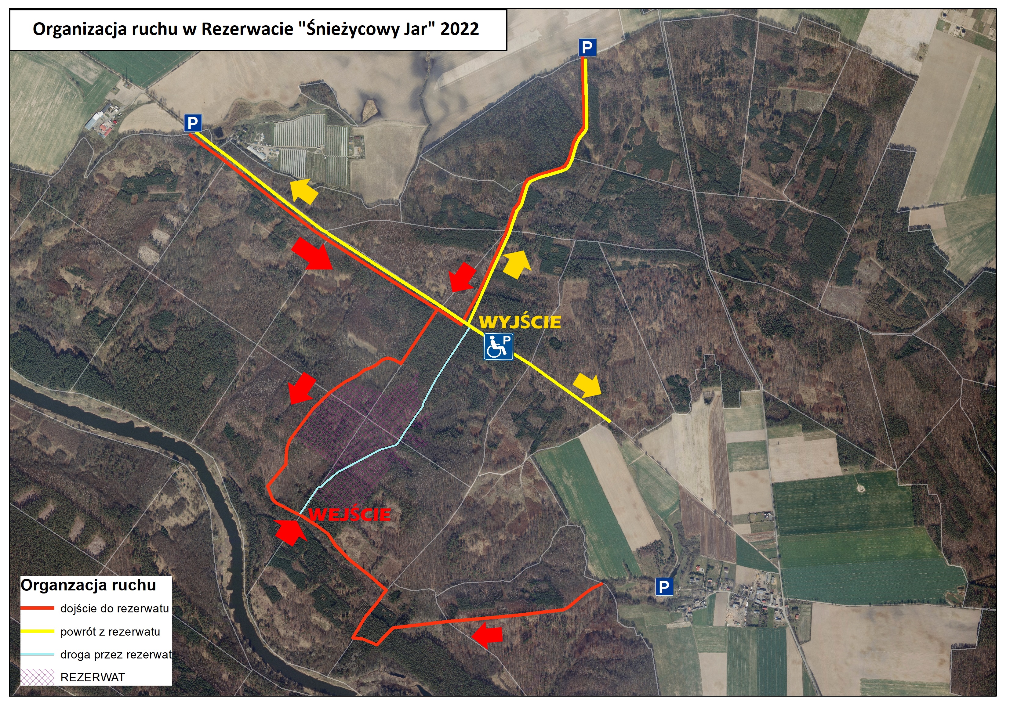 Mapa przedstawia przebieg trasy rezerwatu "Śnieżycowy Jar" oraz parkingi. Źródło Archiwum Nadleśnictwa Łopuchówko. 