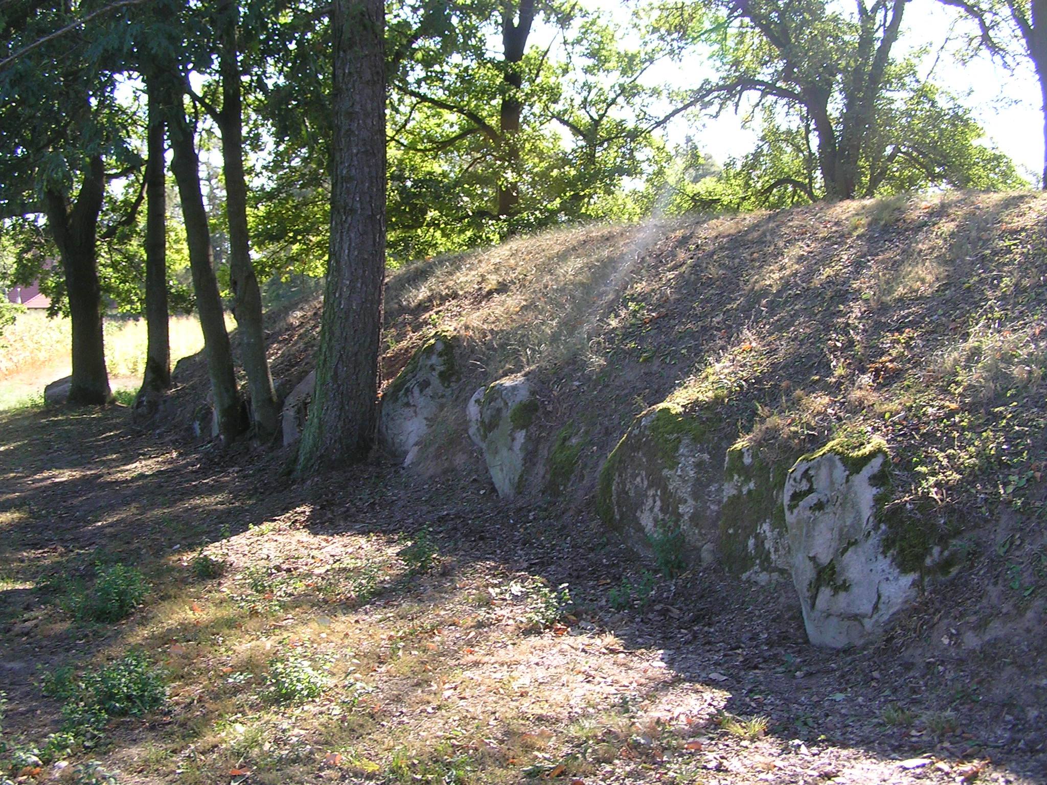 Fotografia przedstawia jeden z grobowców megalitycznych w Parku Kulturowym Wietrzychowice. Fot. archiwum Nadleśnictwa Koło