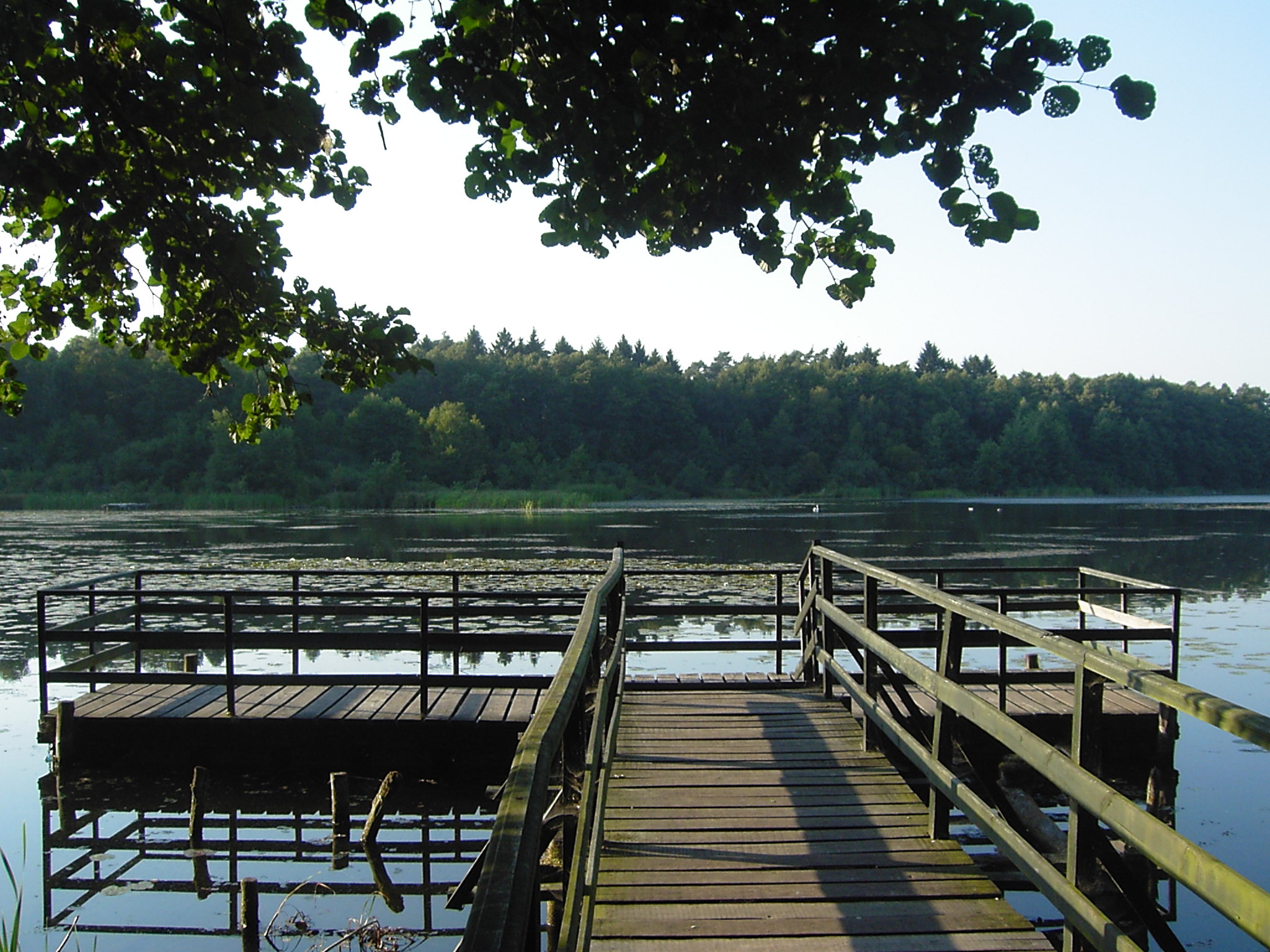 Fotografia przedstawia pomost pływający na Jeziorze Skąpym. Fot. Archiwum Nadleśnictwa Konin.