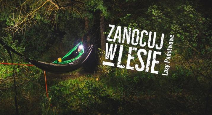 Grafika promująca program "Zanocuj w lesie". Źródło archiwum Lasy Państwowe.