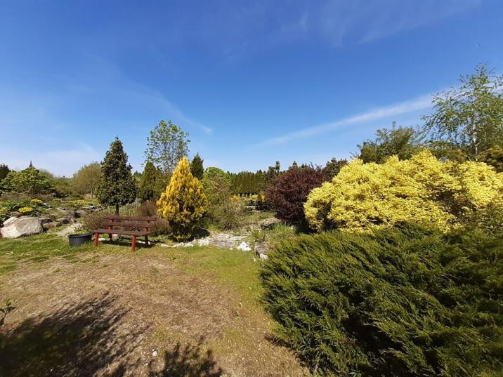 Fotografia przedstawia teren Arboretum w Stradomii. Fot. Archiwum Nadleśnictwa Syców. 