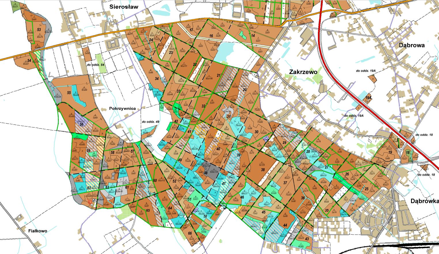 Mapa przedstawia zróżnicowanie terenów leśnych. Fragment mapy drzewostanowej Archiwum Nadleśnictwa Konstantynowo.