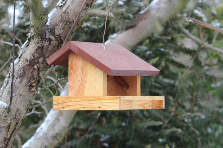 Fotografia przedstawia drewniany karmnik dla ptaków na drzewie. Fot. Rafał Śniegocki