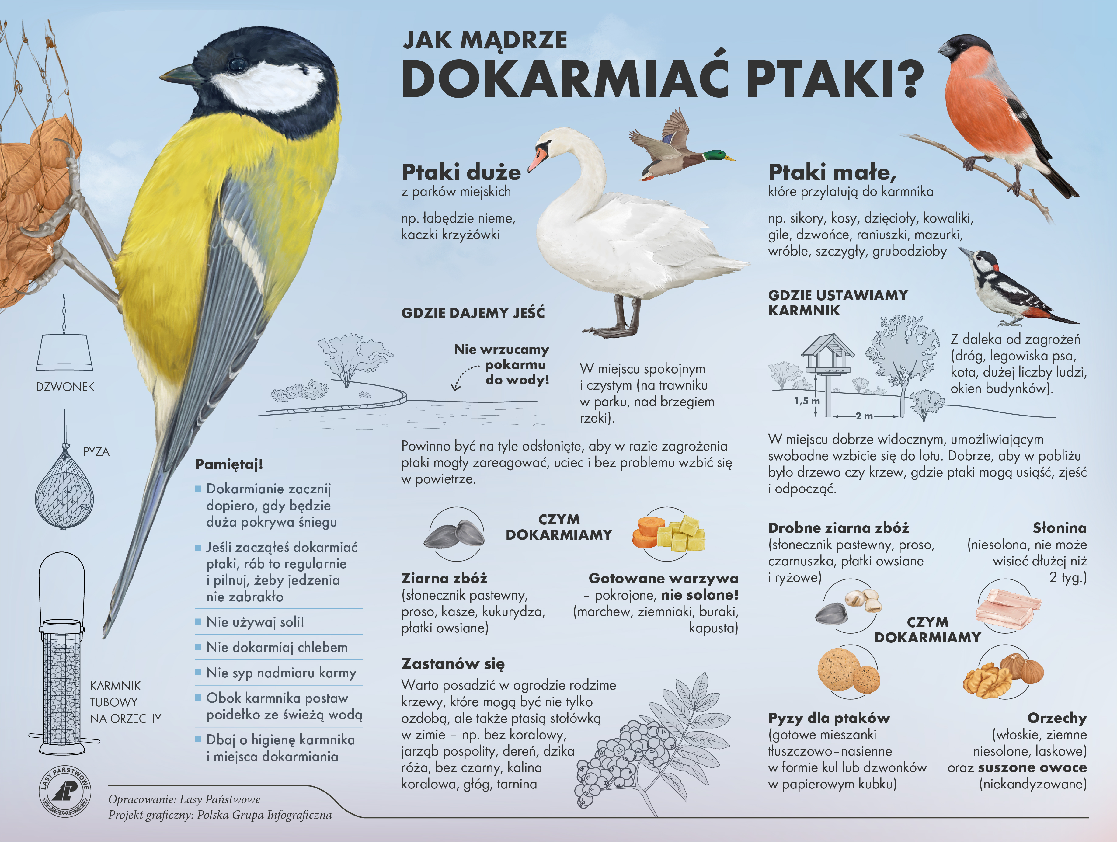 Zdjęcie przedstawia infografikę z informacjami dotyczącymi dokarmiania ptaków. Źródło Archiwum Lasów Państwowych.