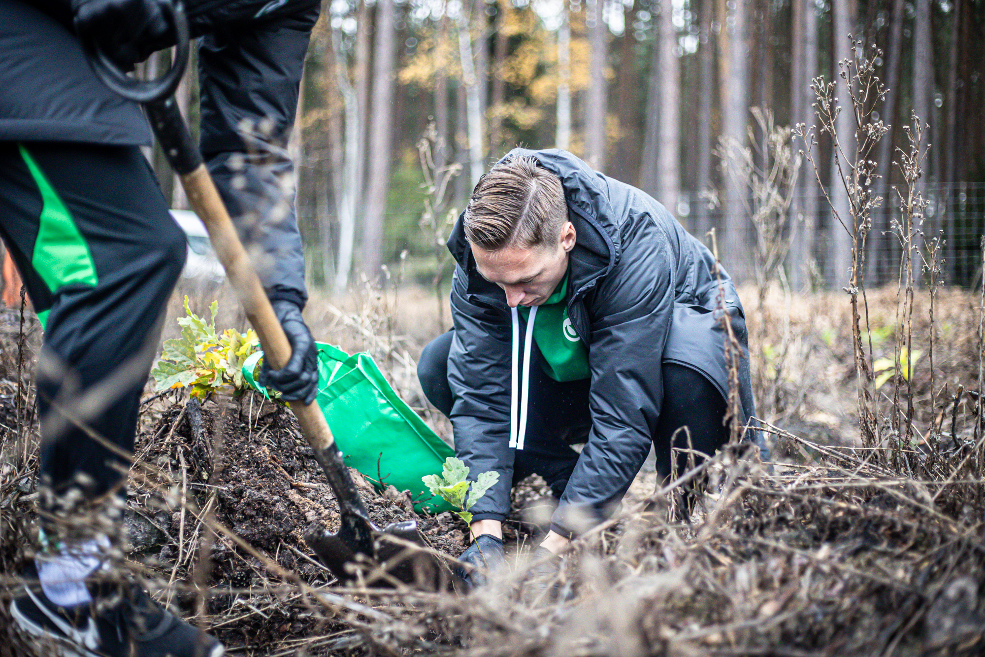 Zdjęcie przedstawia zawodników Warta Poznań sadzących małe dęby na uprawie w lesie. Fot. Klaudia Berda / Warta Poznań