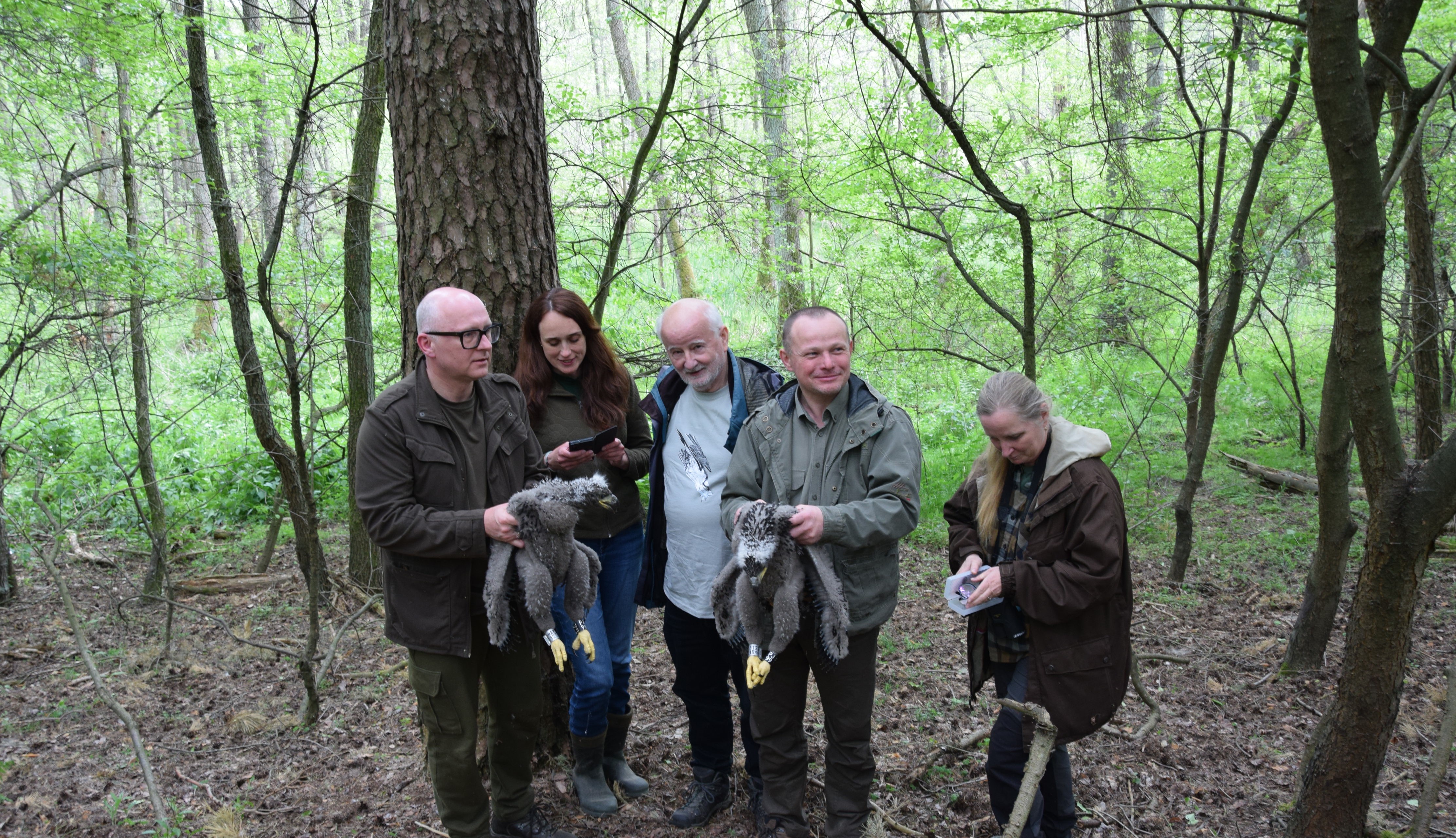 Na zdjęciu dyrektor RDLP w Poznaniu Andrzej Konieczny oraz nadleśniczy Nadleśnictwa Grodzisk Dariusz Szulc wraz z grupą ornitologów na czele z dr. hab.inż. Tadeuszem Mizerą. Archiwum Nadleśnictwa Grodzisk.