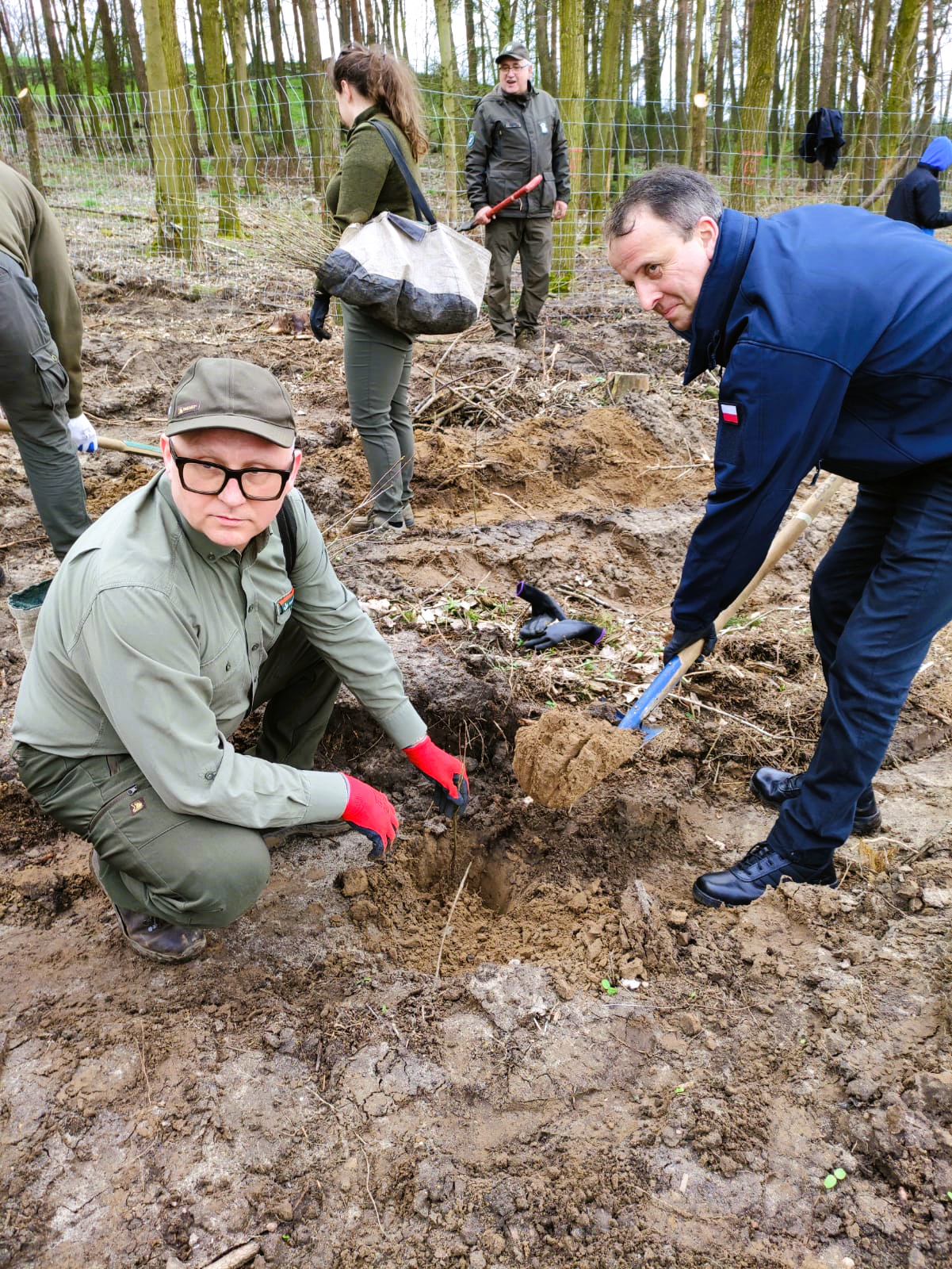 Zdjęcie przedstawia dyrektora RDLP w Poznaniu oraz Wojewodę Wielkopolskiego sadzących wspólnie sadzonkę dębu. Fot. RDLP w Poznaniu