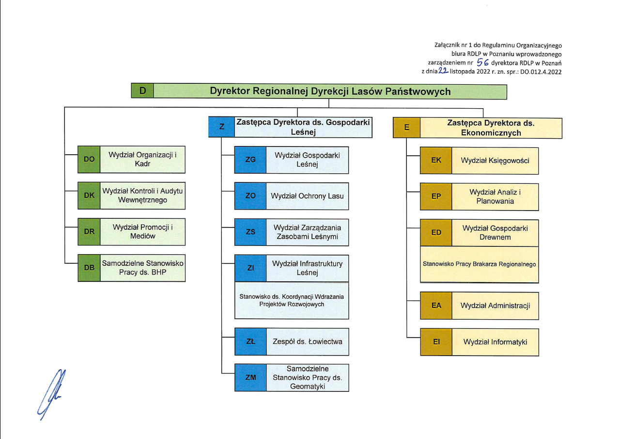 Grafika przedstawia schemat organizacyjny biura RDLP w Poznaniu zgodnie z Regulaminem Organizacyjnym.