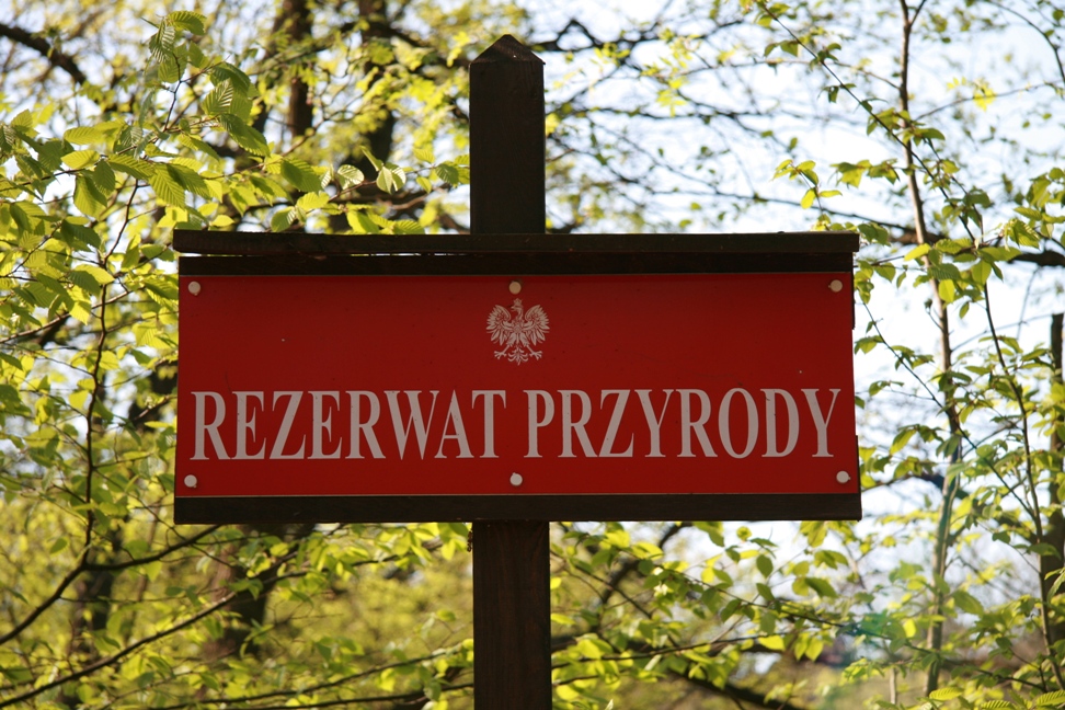 Zdjęcie przedstawia czerwoną tabliczkę z napisem Rezerwat Przyrody. Fot. R. Śniegocki