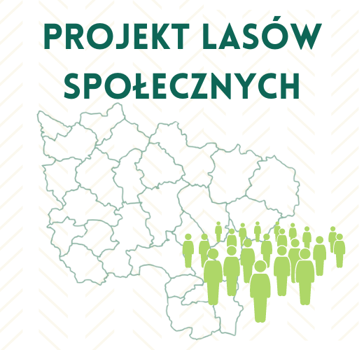 Kafel prowadzący do informacji na temat Projektu Lasów Społecznych