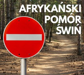 Kafel informujący o afrykańskim pomorze świń ASF, na zdjęciu znak zakaz wjazdu z lasem w tle. Źródło Archiwum Lasów Państwowych