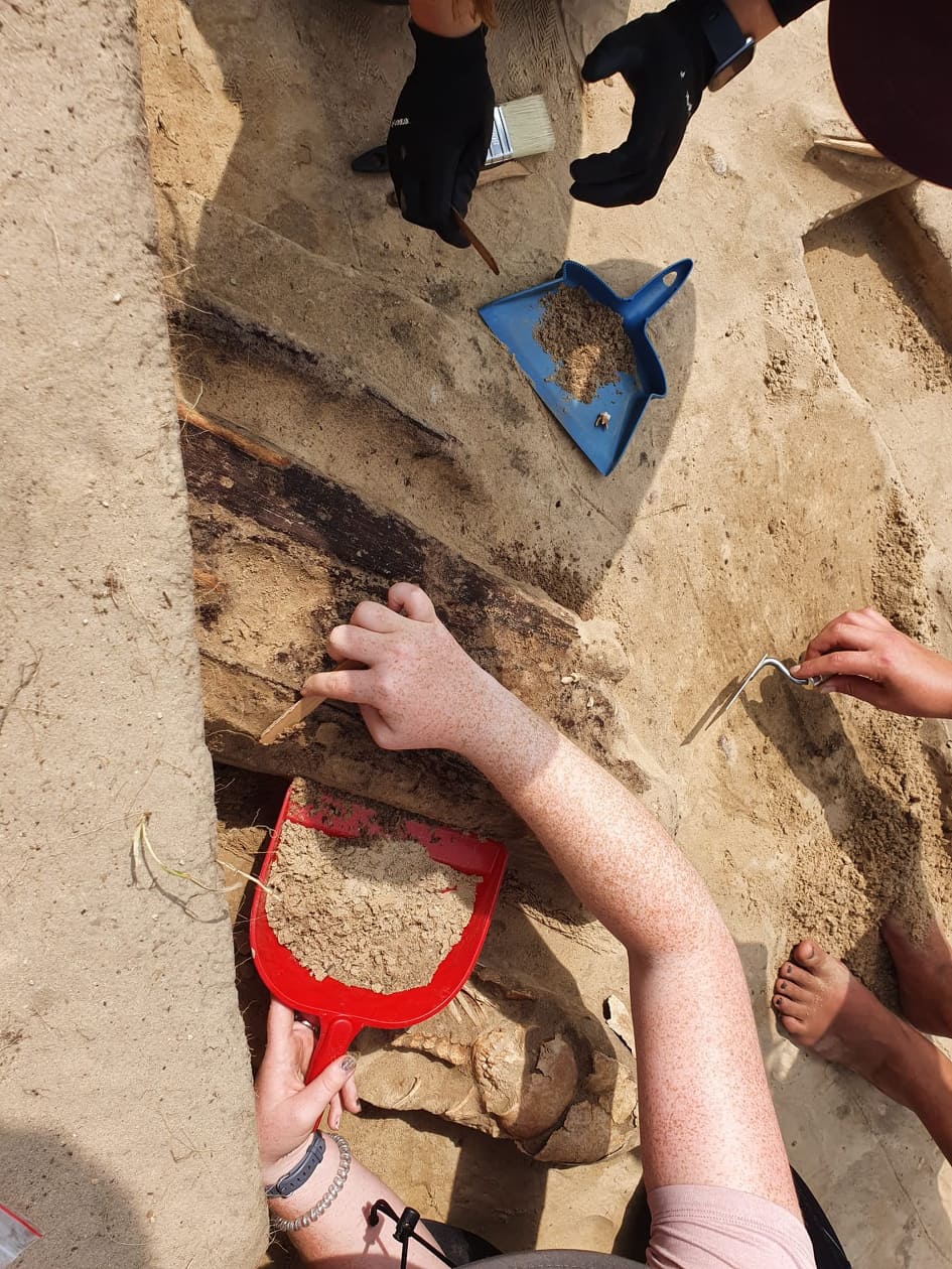 Zdjęcie przedstawia prace archeologów na wykopaliskach w średniowiecznej Gaci. Fot. Archiwum Nadleśnictwa