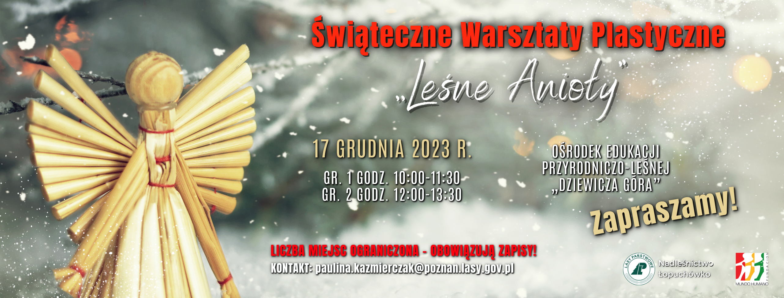 Grafika promująca Świąteczne Warsztaty Plastyczne "Leśne Anioły" 2023