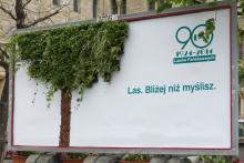Roślinny billboard pod Zamkiem