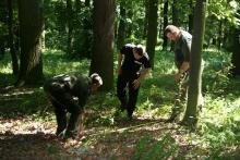 Współpraca straży leśnej i policji