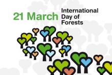Międzynarodowy Dzień Lasów