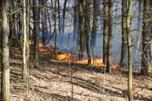 Najwyższy stopień zagrożenia w wielkopolskich lasach