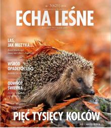 Jesienne Echa Leśne