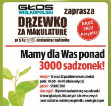 Drzewko za makulaturę