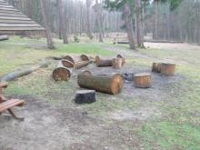 Leśnicy wspierają harcerzy