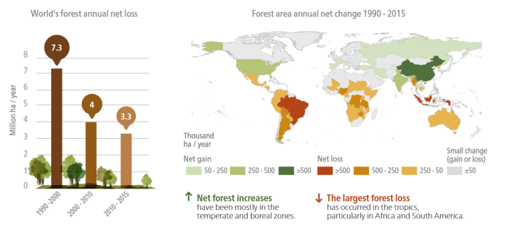 http&#x3a;&#x2f;&#x2f;www&#x2e;fao&#x2e;org