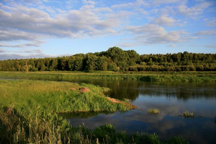 fot&#x2e;&#x20;Rafał&#x20;Śniegocki