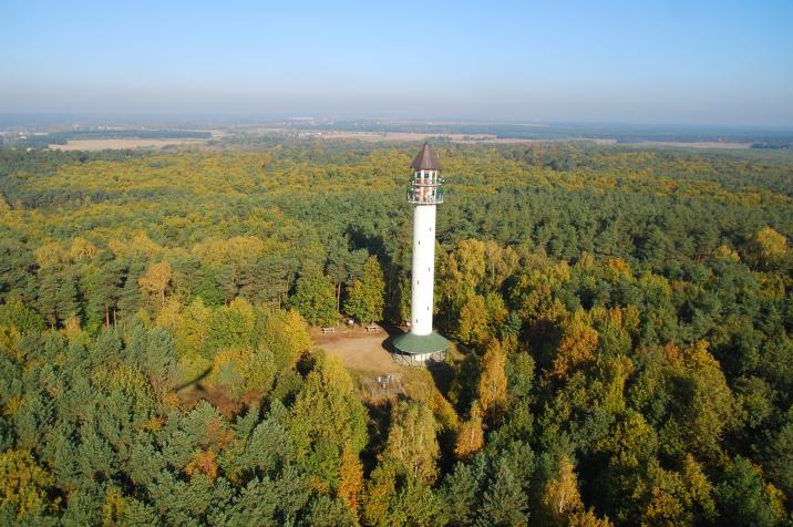 fot&#x2e;&#x20;arch&#x2e;&#x20;Nadleśnictwa&#x20;Łopuchówko