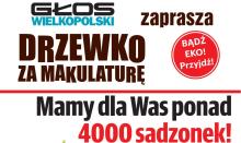 Akcja "Drzewko za makulaturę"